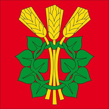 Roggwil (BE) flag